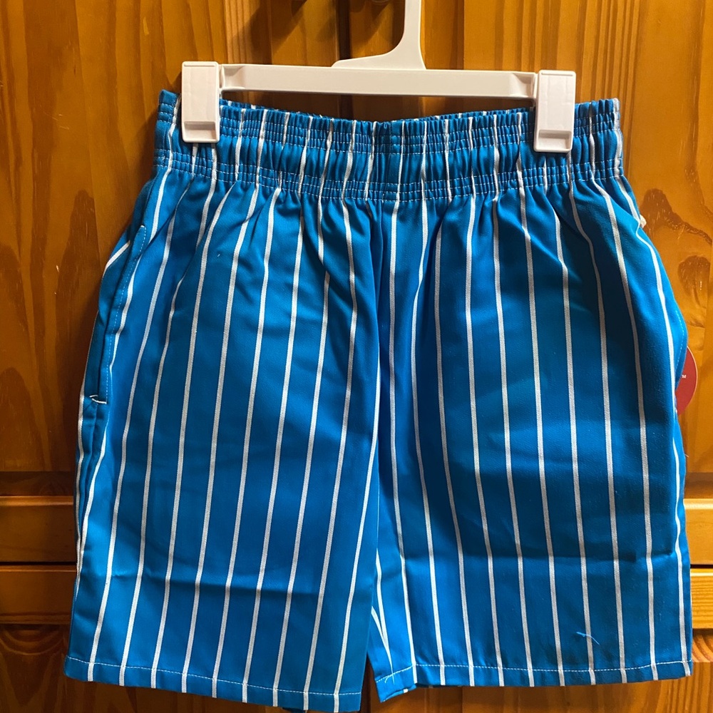 Cookman Blue and White Striped Shorts